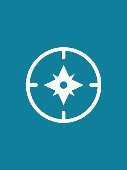 Lagoon tour and marine fauna