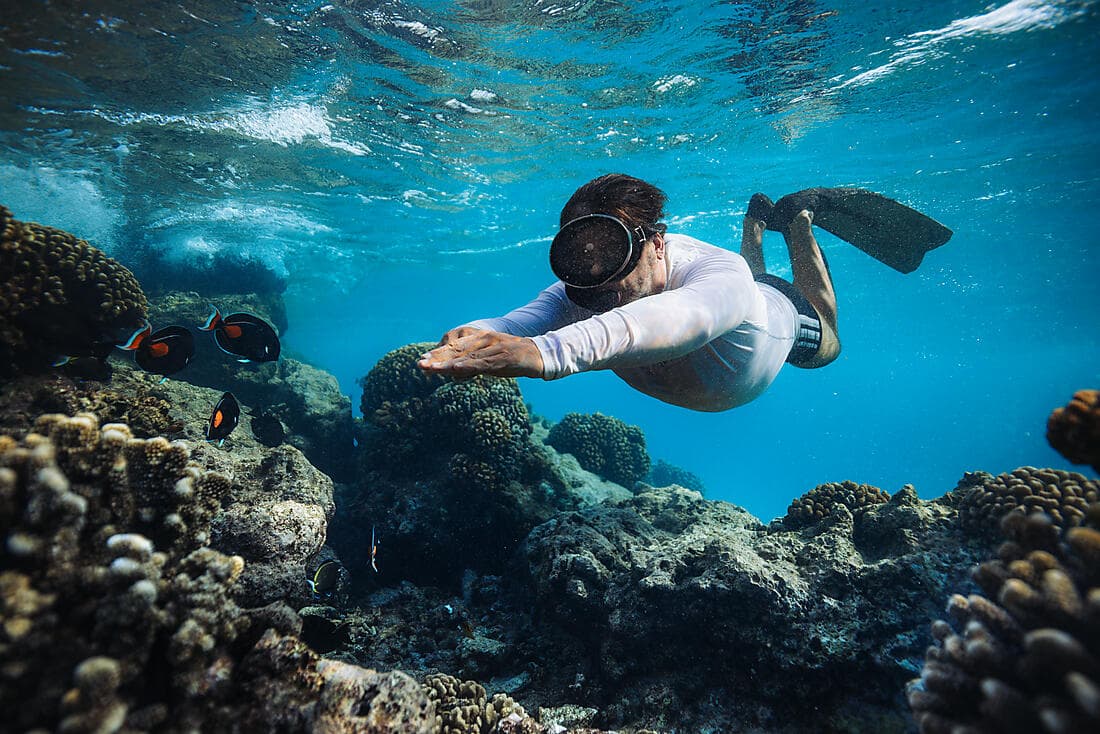 Coral Garden Drift Snorkel