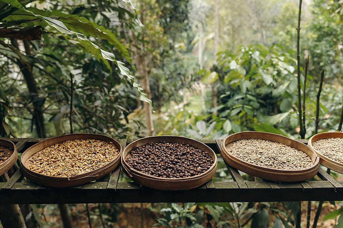 Coffee and traditions