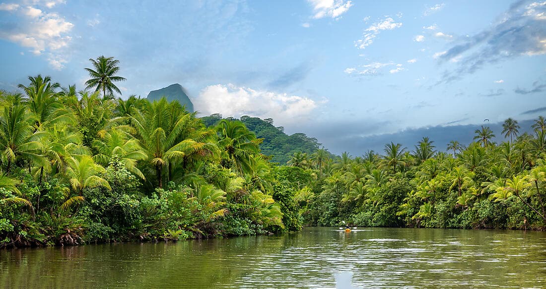 Discover Faaroa River by Kayak