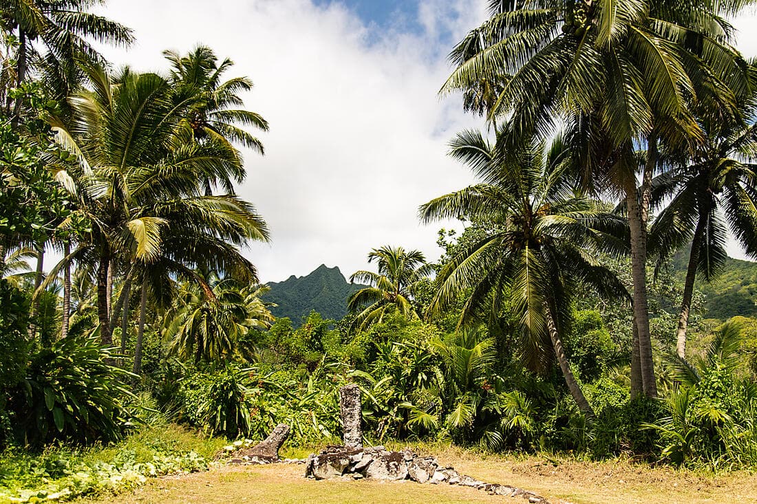 Raro safari by 4WD