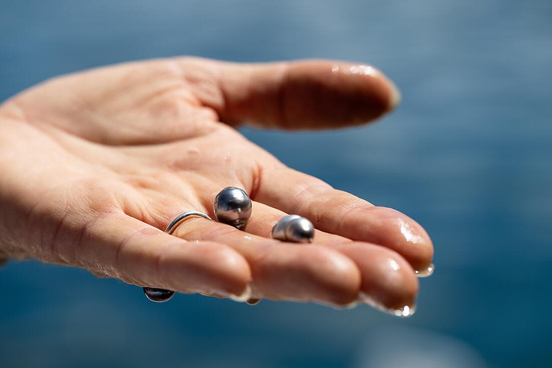 Anapa Pearl Farm and Snorkeling