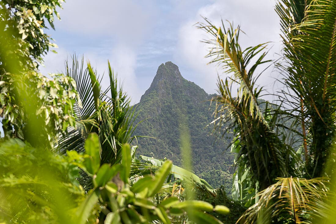 Rarotonga circle island tour