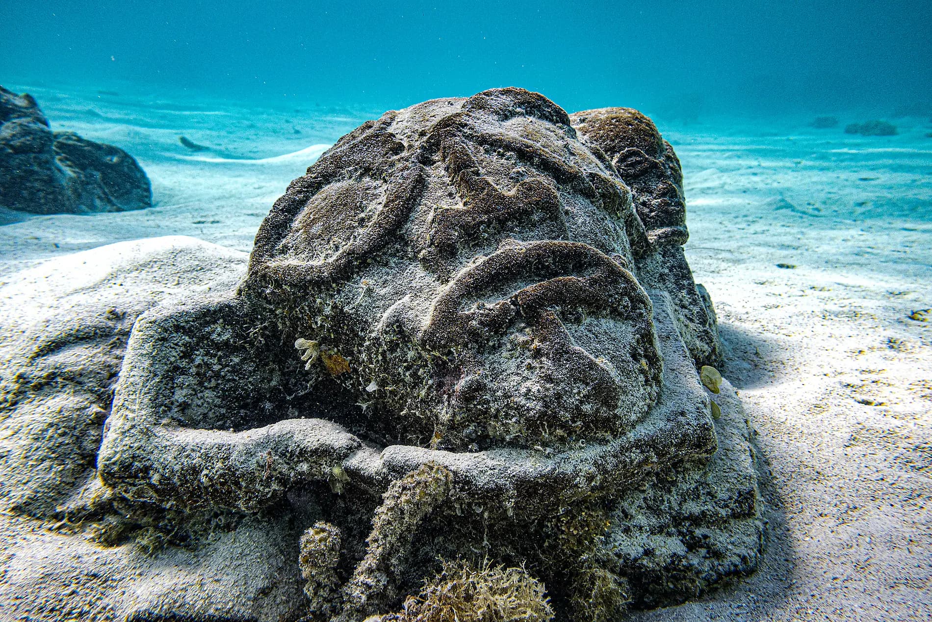 Cruising French Polynesia: Tahiti, Bora Bora, and the Tuamotus – with Smithsonian Journeys 