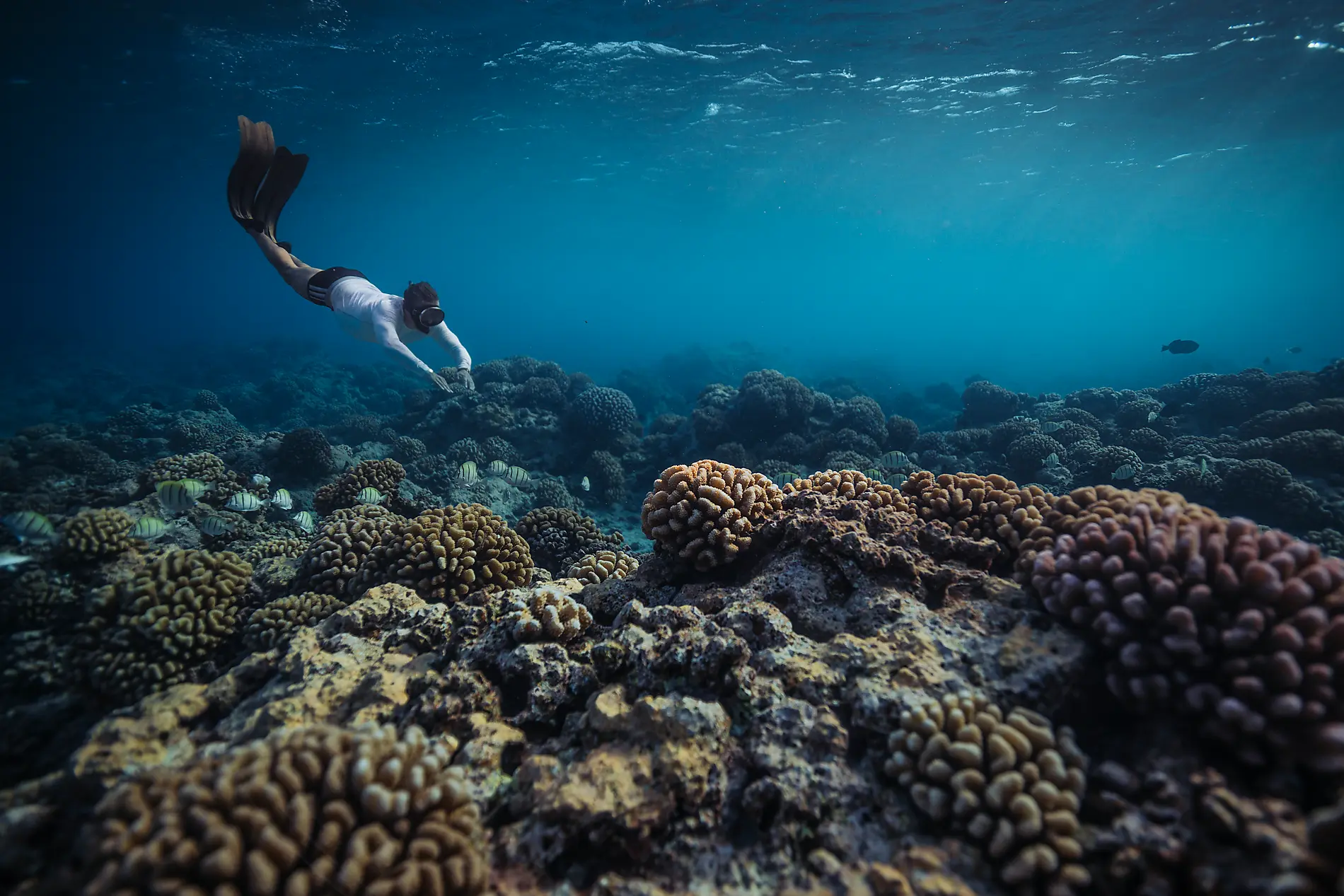 Cruising French Polynesia: Tahiti, Bora Bora, and the Tuamotus – with Smithsonian Journeys 