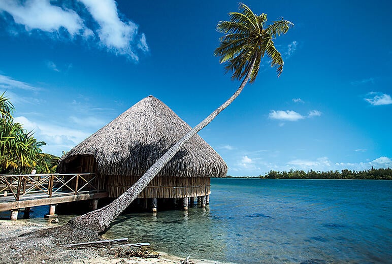 society-islands_Huahine_hut_culture_079.jpg