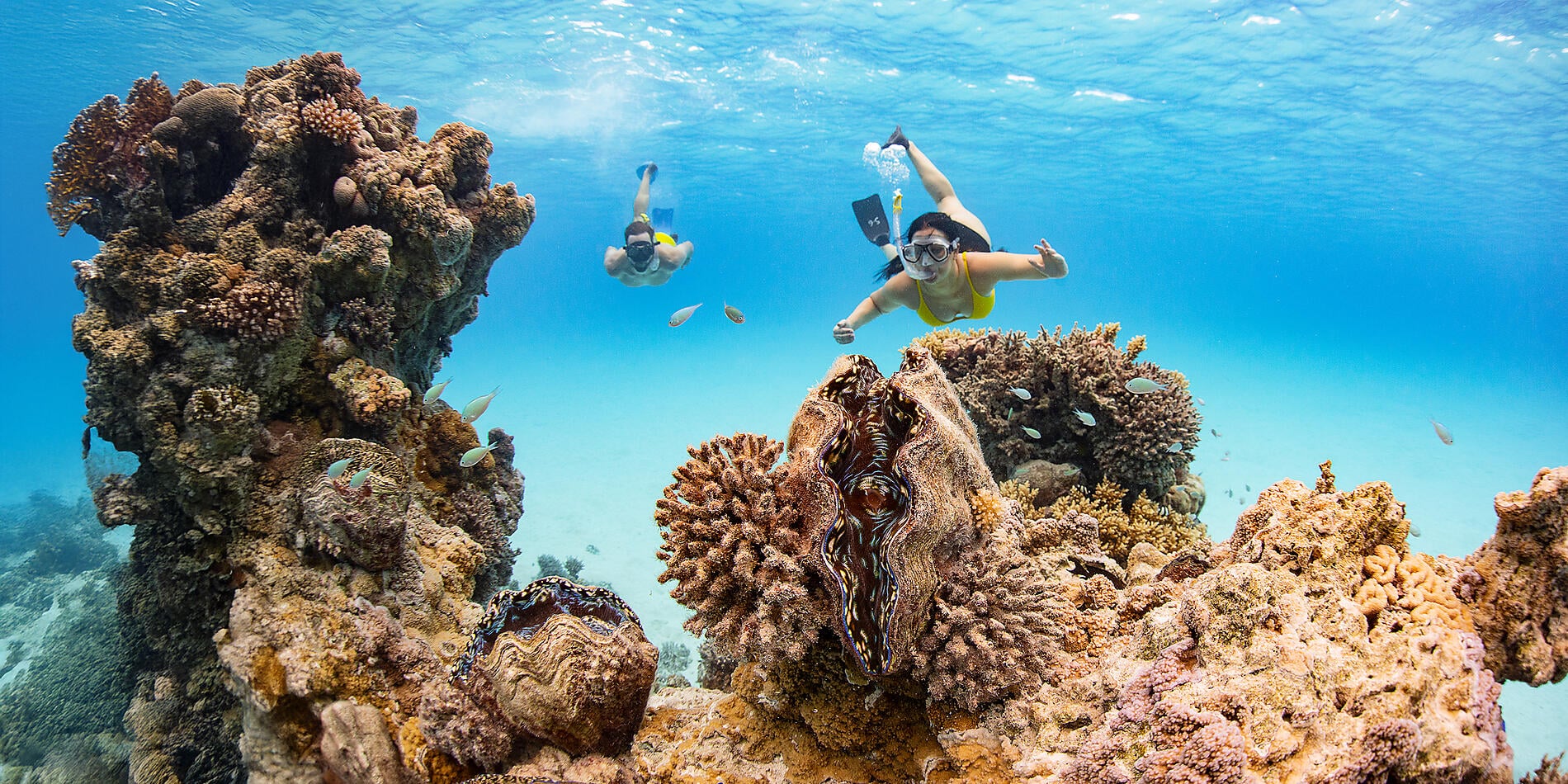 Cook Islands & Society Islands 