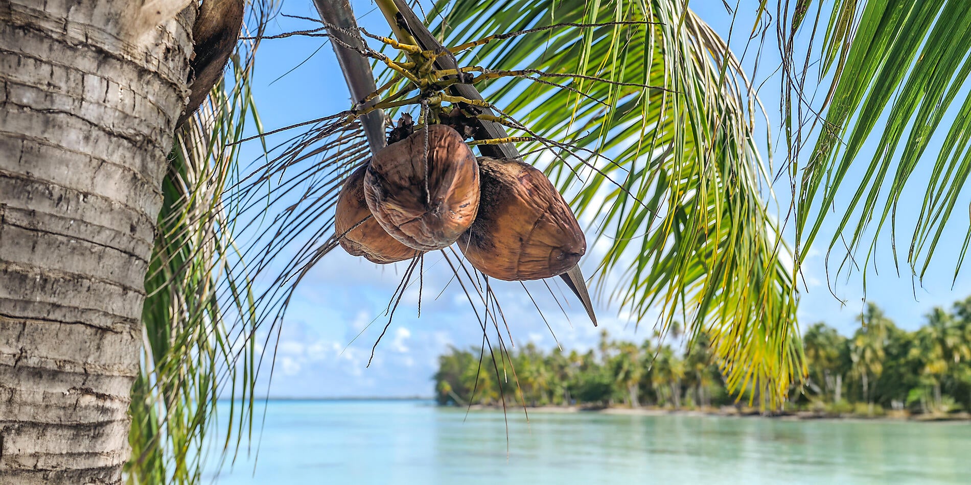 Society Islands & The Tuamotus Society Islands & The Tuamotus