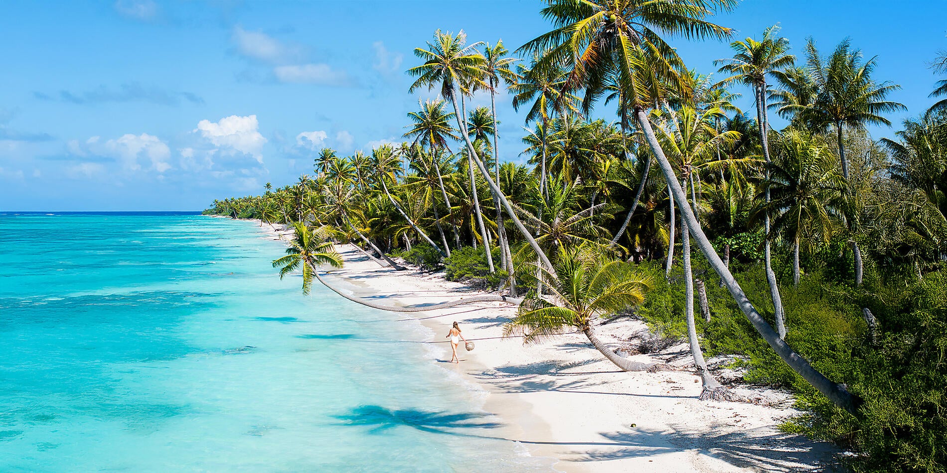 Society Islands & The Tuamotus Society Islands & The Tuamotus