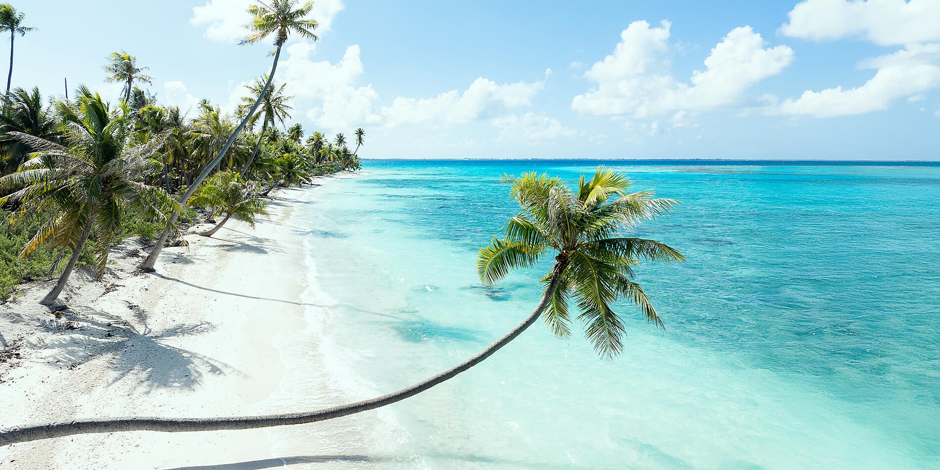 Society Islands & The Tuamotus Society Islands & The Tuamotus