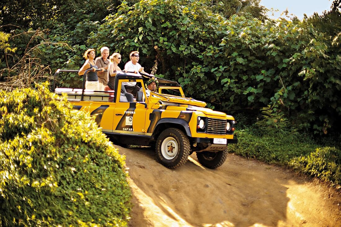 Discover Raiatea by 4x4