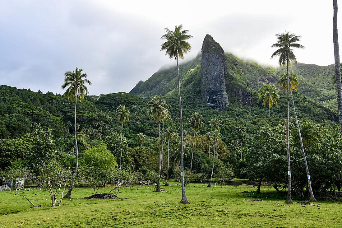 Raiatea Highlights Tour