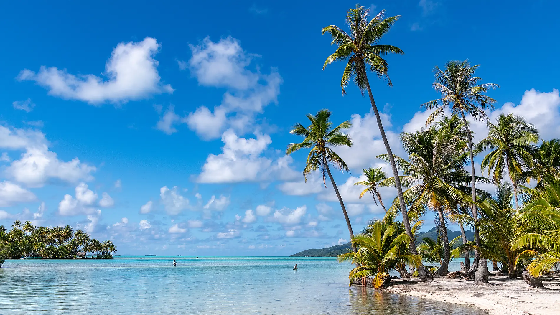 Marquesas, The Tuamotus & Society Islands Marquesas, The Tuamotus & Society Islands